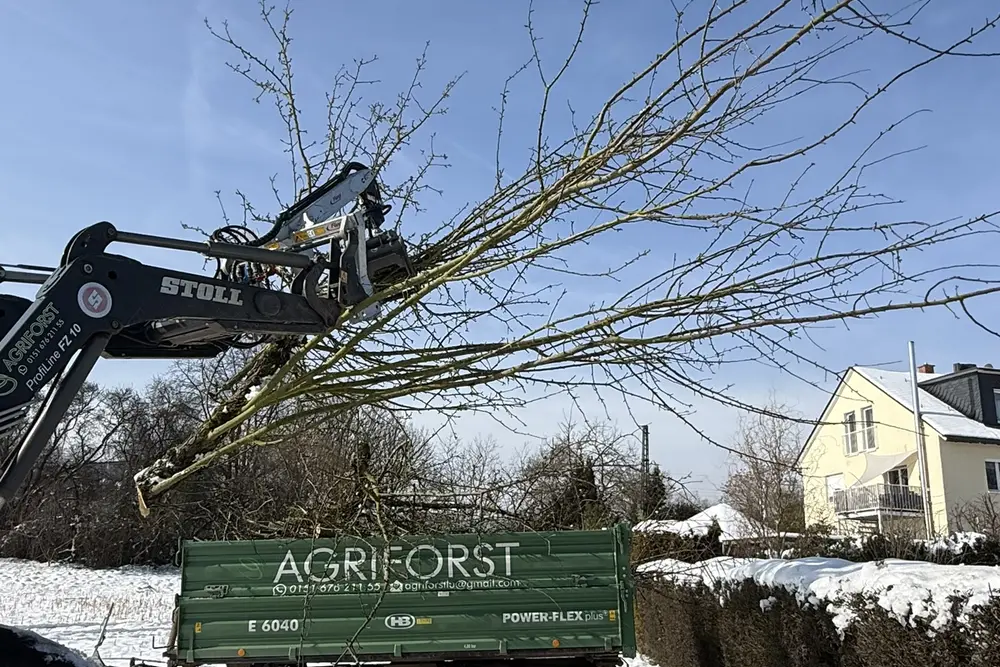 Frontlader hebt Astwerk im Winter